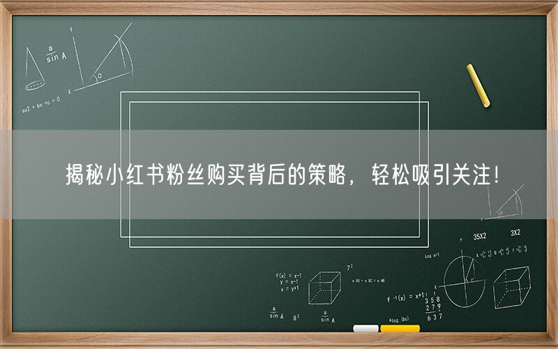 揭秘小红书粉丝购买背后的策略，轻松吸引关注！